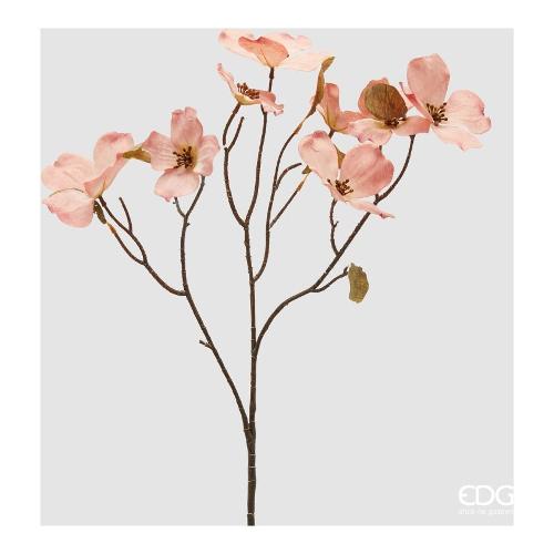 Edg Stelo Cornus ant.Pink 2100482A556