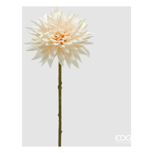 Edg Stelo Dalia ivory 2100492A110