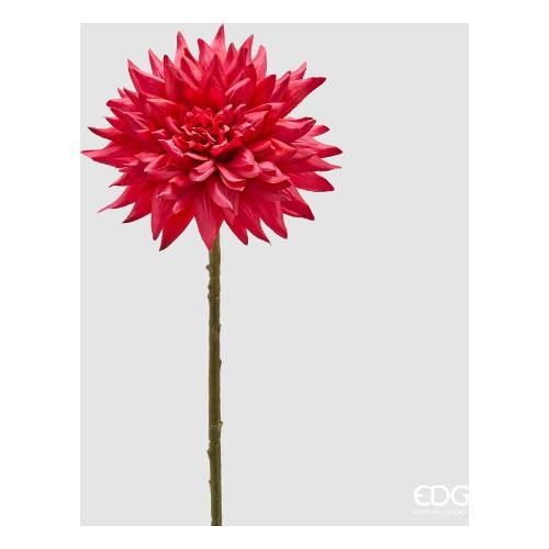 Edg Stelo Dalia rose beauty 2100492A557
