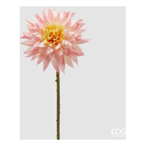 Edg Stelo Dalia pink cream 2100492A554