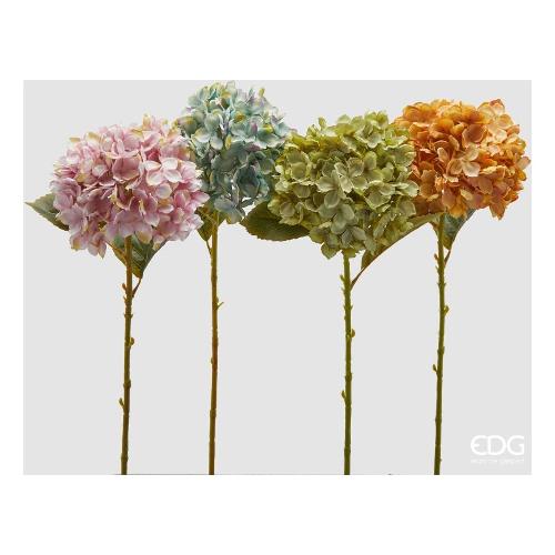 Edg Stelo Ortensia m.color assortito 2100493A999