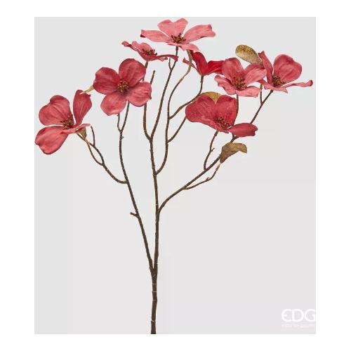 Edg Stelo Cornus 2 garnet 2100482A449