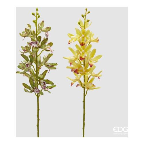 Edg Stelo Orchidea y.green assortito 2100338A270