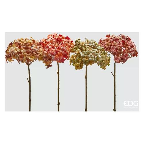Edg Stelo Ortensia autunno assortito 2100485A930