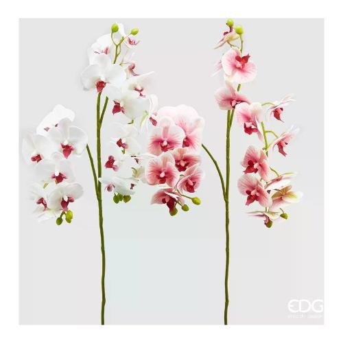 Edg Stelo Orchidea w.pink assortito 214075 150
