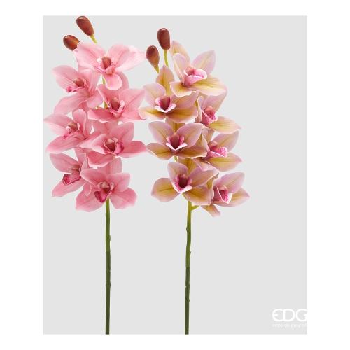 Edg Stelo Orchidea tt pink assortito 2100446A555