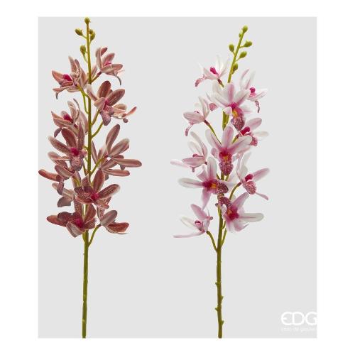 Edg Stelo Orchidea tt pink assortito 2100338A555