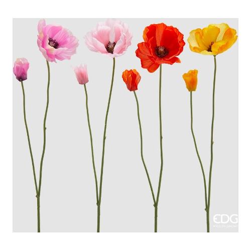 Edg Stelo Papavero (58cm) assortito 2100390A999