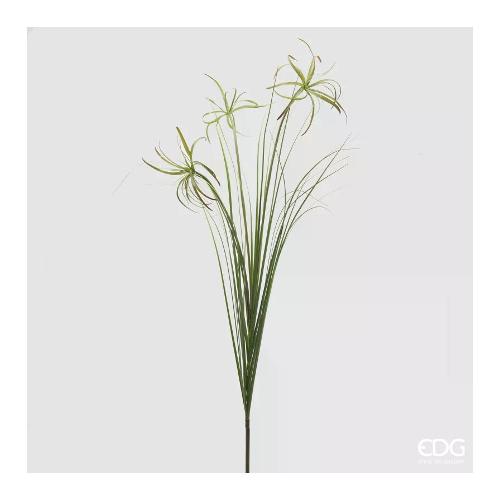Edg Stelo Papiro green 2300206A700