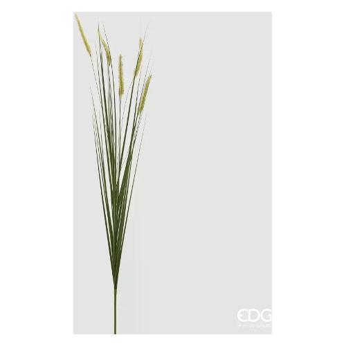 Edg Stelo Festuca green 2300207A700