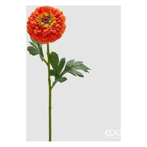 Edg Stelo Zinnia orange red 2100491A340