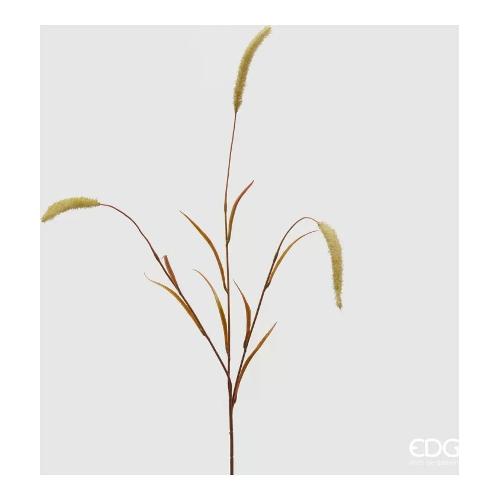 Edg Stelo Setaria olive 233029 790