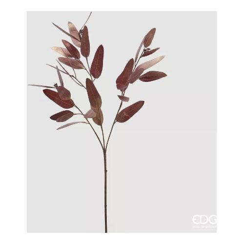 Edg Stelo Eucalipto brown 2300111A976