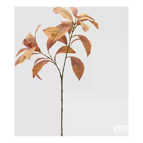 Edg Stelo Photinia autunno 2300126A930