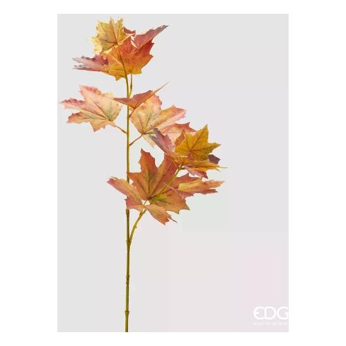 Edg Stelo Platano autunno 2300389A930