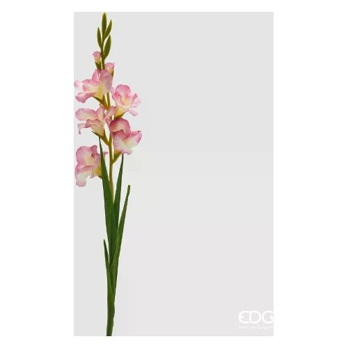 Edg Stelo Gladiolo w/viol. 2100529A160