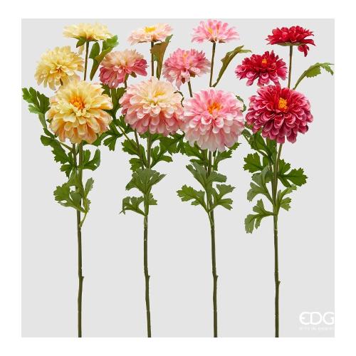 Edg Stelo Zinnia multicolor (60cm) assortito 2100438A999