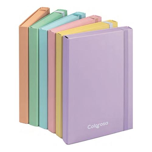 Ri.Plast Cartellina 3 lembi con elastico A4 (24,5x7x35cm) COLOROSA PASTEL Assortito 36CSPPG07
