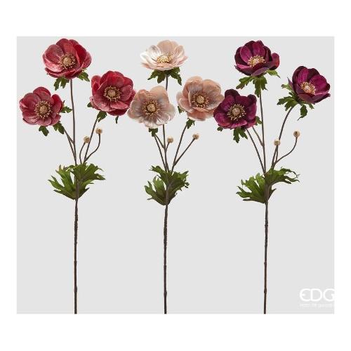 Edg Stelo Anemone Vellutato (80cm) assortito 2100508A599