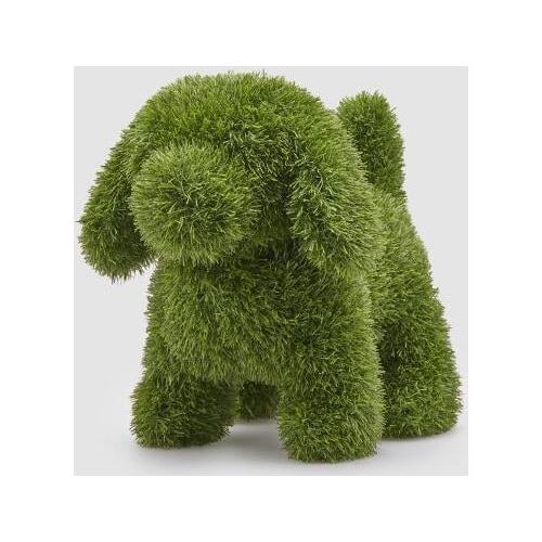 Edg TOPIARY Cane 8100042A700