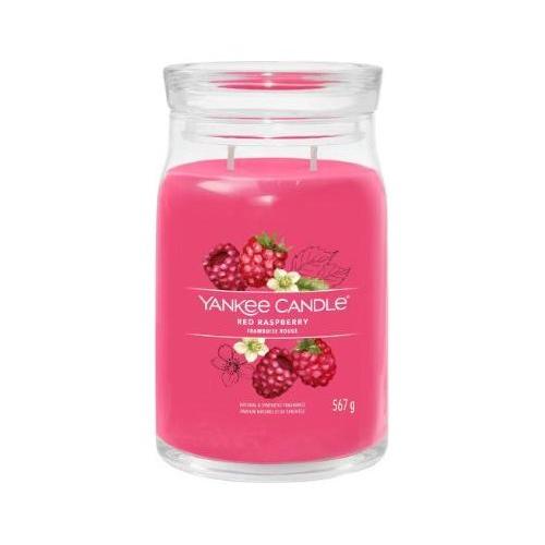 Yankee Candle Candela profumata Red raspberry (9,3x15,7cm) Giara L 65-80 ore SIGNATURE Fucsia 1701375E