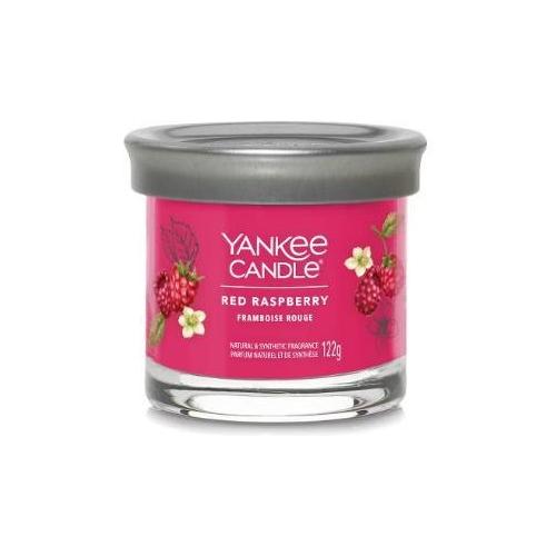 Yankee Candle Candela profumata Red raspberry (8x7,6cm) Tumbler 20-30 ore SIGNATURE Fucsia 2654105E