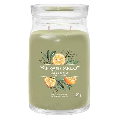 Yankee Candle Candela profumata Sage & Citrus (9,3x15,7cm) Giara L 65-80 ore SIGNATURE Verde 1629961E