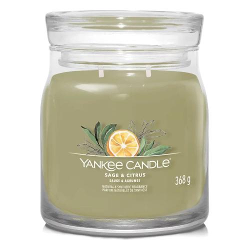 Yankee Candle Candela profumata Sage & Citrus (9,3x11,4cm) Giara M 35-50 ore SIGNATURE Verde 1629995E