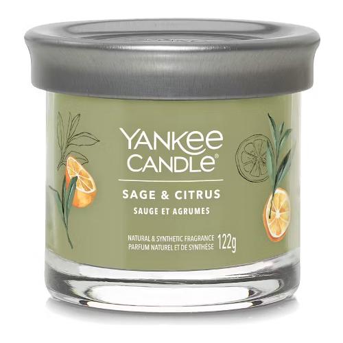 Yankee Candle Candela profumata Sage & Citrus (8x7,6cm) Tumbler 20-30 ore SIGNATURE Verde 2654104E