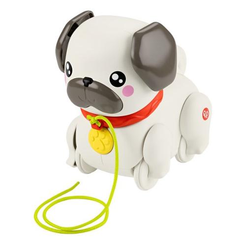 Fisher Price Carlino Cammina con me 12-36m HTW94
