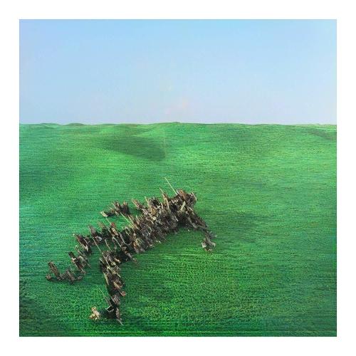 Audio CD Bright Green Field - Squid WARPCD314