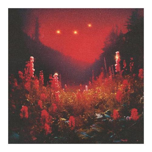 Audio CD Superbloom - Silent Planet SLDS144.2