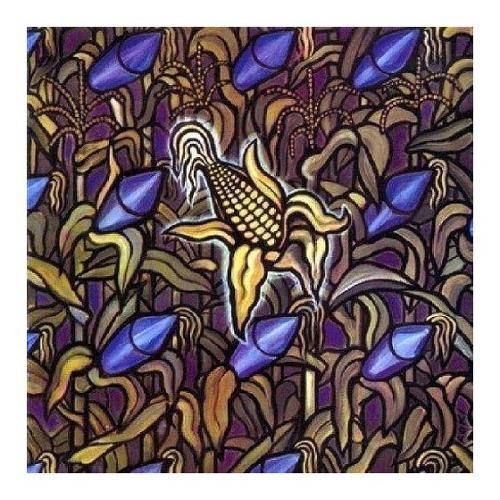Audio CD Against The Grain - Bad Religion 8714092670325