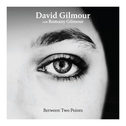 Audio Vinile Between Two Points (12") (Silver Vinyl) (Record Store Day 2025) - David Gilmour / Romany Gilmour 19802886711