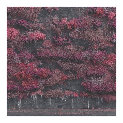 Audio CD Even In Arcadia - Sleep Token 19802903112