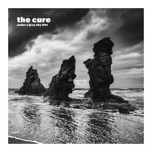 Audio Vinile Under A Grey Sky 1981 (Grey Vinyl 2Lp) - Cure EWR040LTD