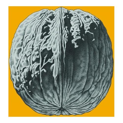 Audio Vinile L'Albero Delle Noci (Blue Vinyl) - Brunori Sas 7803217