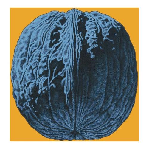 Audio CD L'albero Delle Noci (Sanremo 2025) - Brunori Sas 7572684