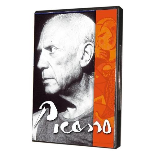 Terminal Video DVD Picasso -