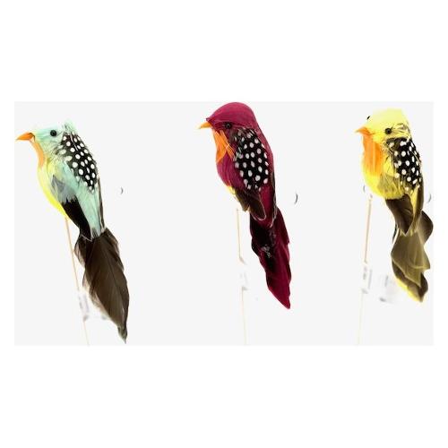 Dhg D.O.O. Decoro Uccellino colorato15x3x4x h25 cm Assortito 27818