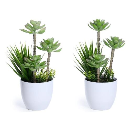 Mercury Pianta artificiale grassa con vaso plastica (13x25cm) assortito 08831