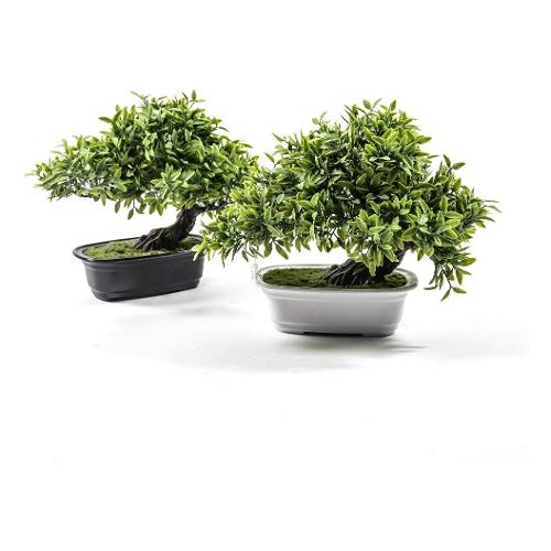 Mercury Pianta artificiale bonsai verde con vaso plastica (17x10x25cm) assortito 32693