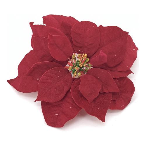 Dhg D.O.O. Pick Poinsettia (25cm) Rosso 06720