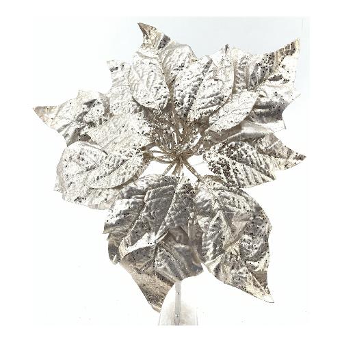 Dhg D.O.O. Pick Poinsettia (26cm) Champagne 49532