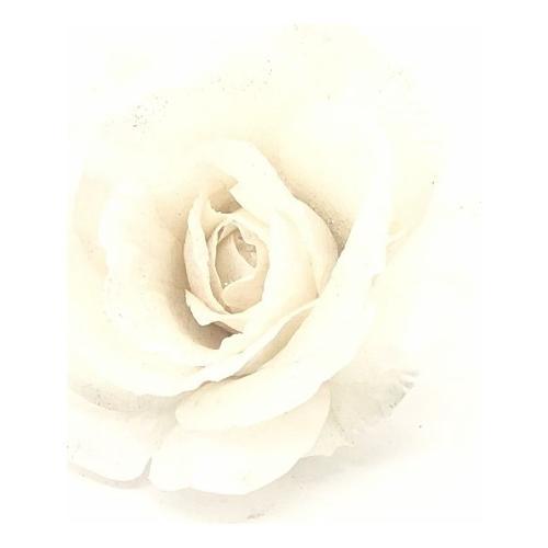 Dhg D.O.O. Pick Rosa con clip (14cm) Bianco 15332