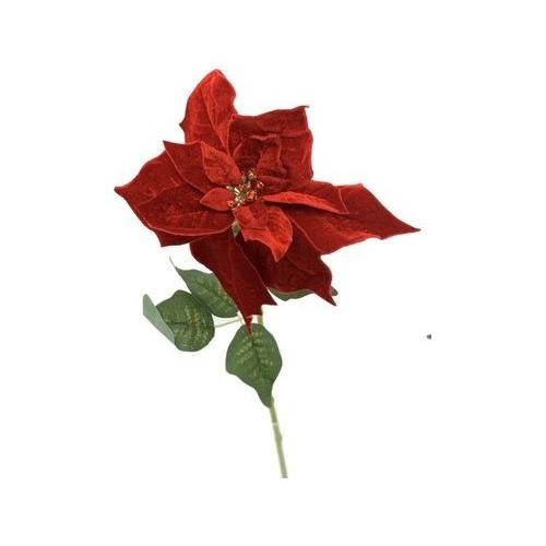 Dhg D.O.O. Pick Poinsettia Rosso velluto 85494