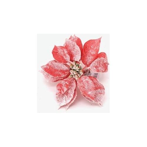 Dhg D.O.O. Pick Poinsettia (18cm) Rosso 06708
