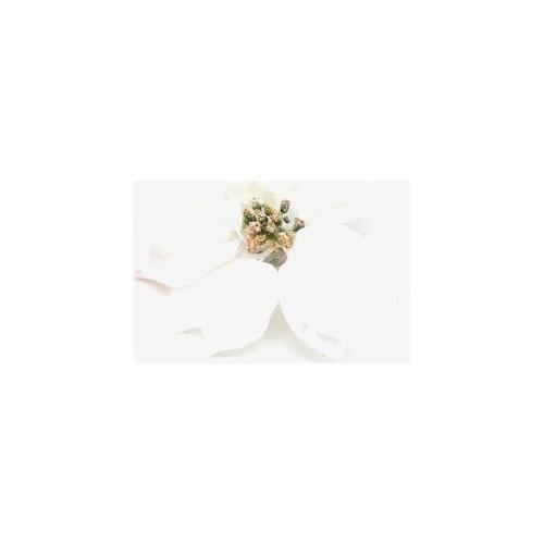 Dhg D.O.O. Pick Poinsettia (18cm) Bianco 06709