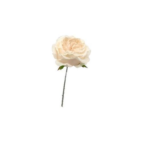 Dhg D.O.O. Pick Rosa (20cm) Cream nevicato 90443