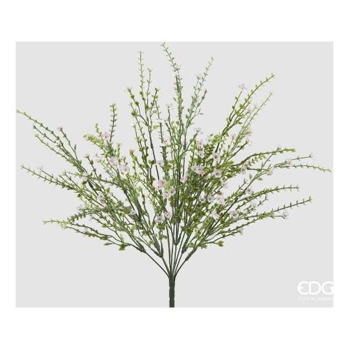 Edg Mazzetto Ginestra Pink (55cm) 2100345A500